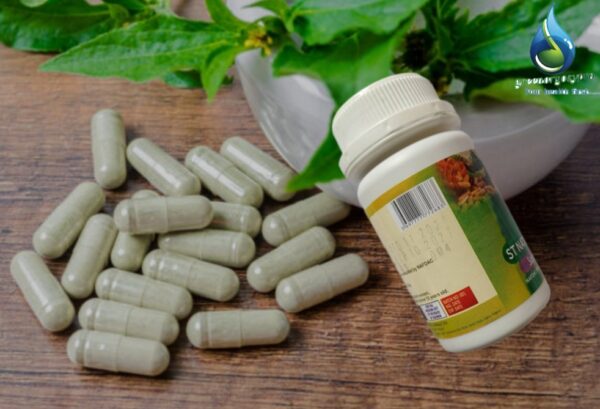 St. Nature Organic Capsules (1 bottle)